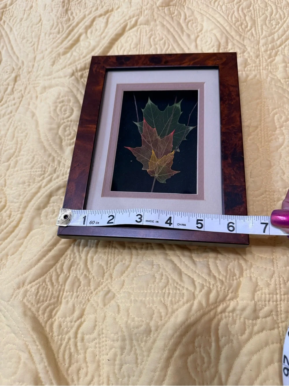 Neutral Framed Leaf Wall Art Set - Cream and Brown Lot 3